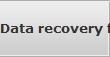 Data recovery for Coral Springs data