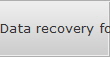 Data recovery for Coral Springs data